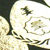 80th_box_01.jpg